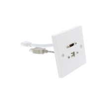 HDMI and USB b Wall Plate