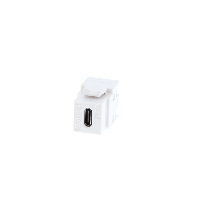 white USB Type C Keystone