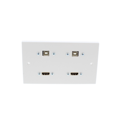 Twin HDMi and USB AV Wall Plate