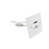 HDMI and USB b Wall Plate