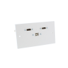Twin HDMi and USB Wall Plate